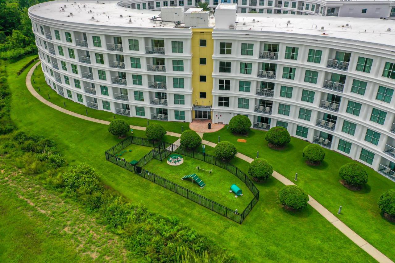 Pet Friendly In Orlando Area Near Disney Celebration Kültér fotó